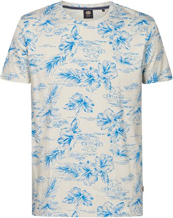 Petrol T-Shirt Crestview Print Blauw M-1050-TSR623-0112 kopen