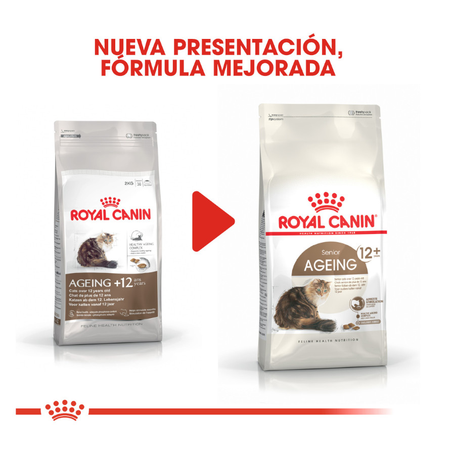 Ração Royal Canin para gatos com mais de 12 anos