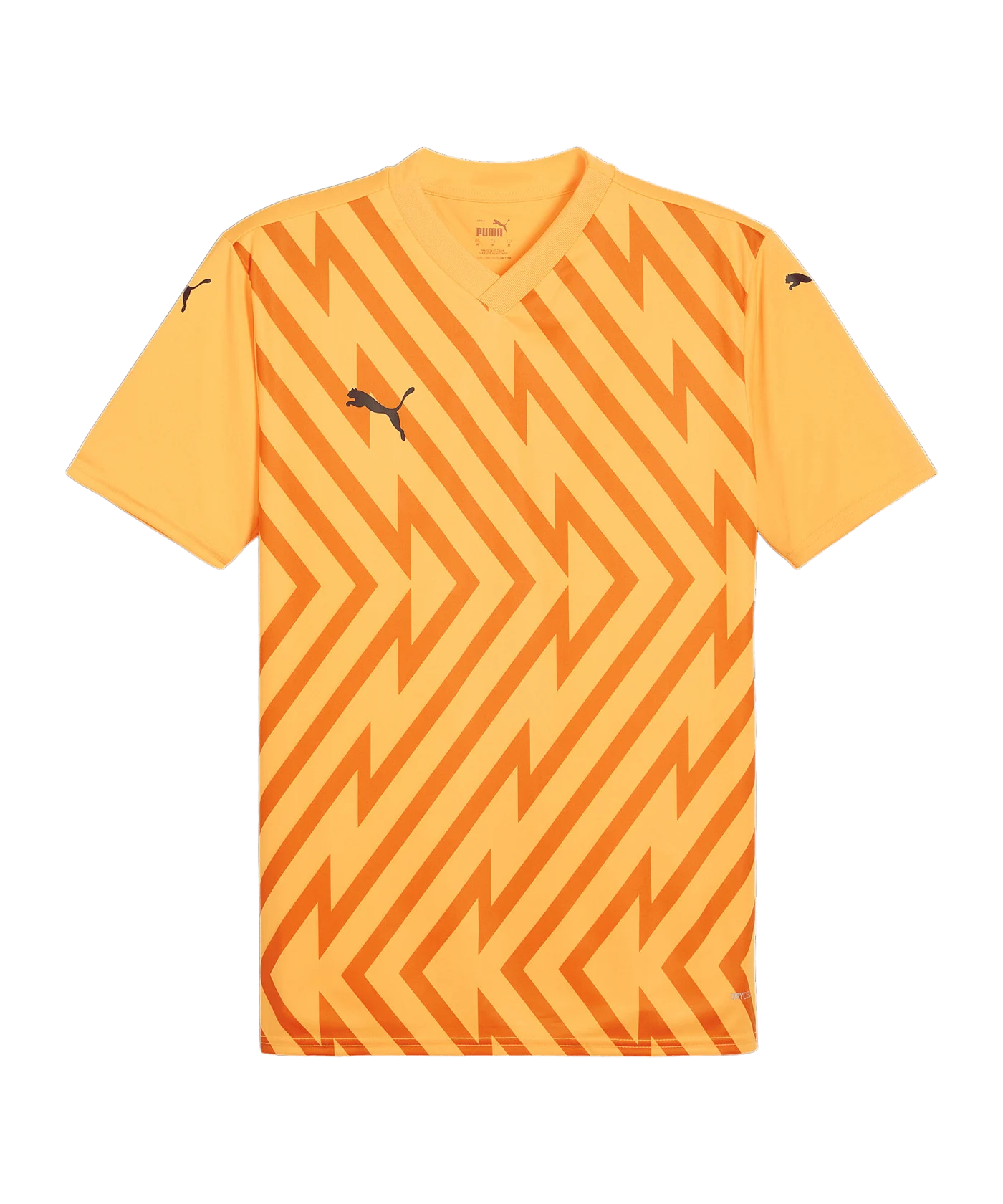 PUMA teamGLORY Trikot Orange Schwarz F61