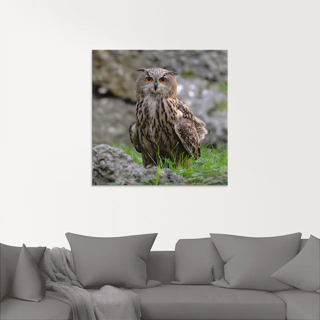Artland Glasbild »Uhu« Vögel 1 Stk. tlg. in verschiedenen Grössen