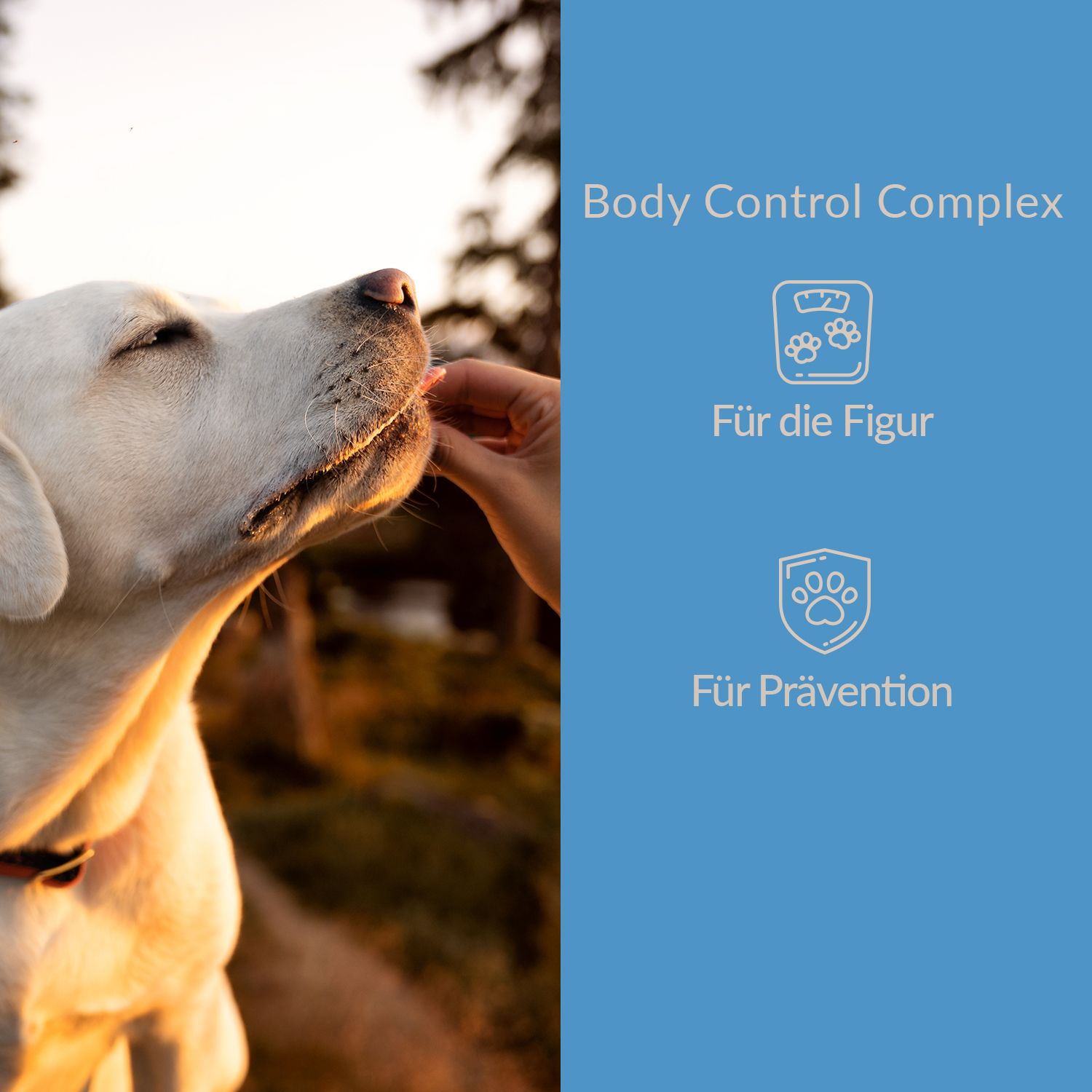 Dogcs Body Control Complex mit Zimt & Brennnessel