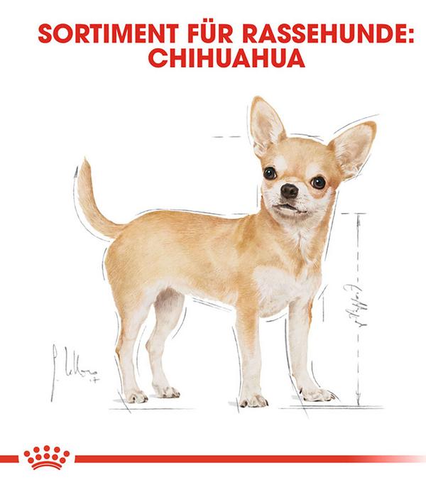 ROYAL CANIN® Trockenfutter für Hunde