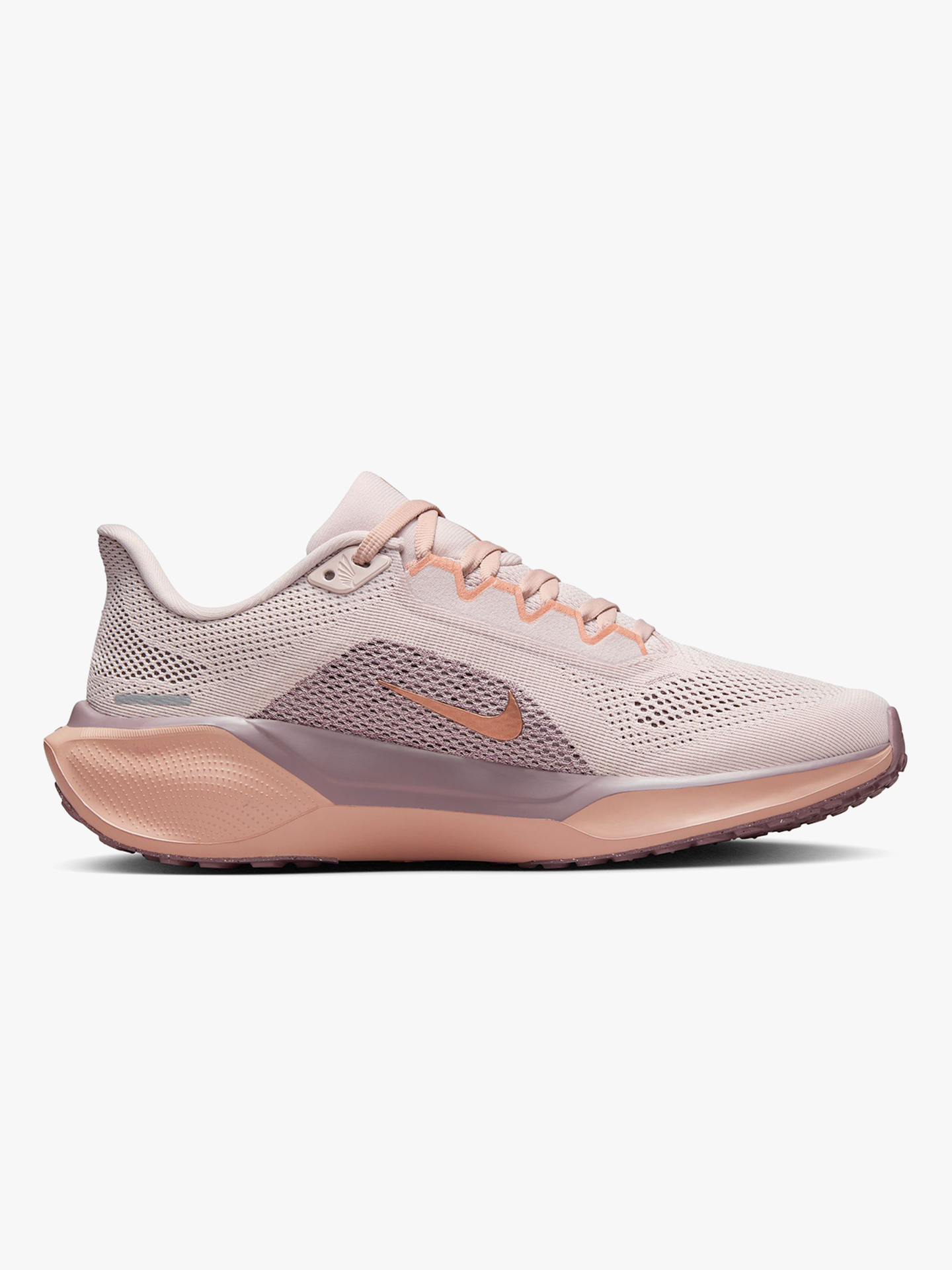 Pegasus 41