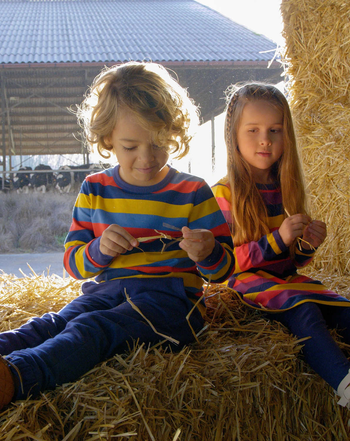 Langarmshirt STRIPES BLUE in bunt
