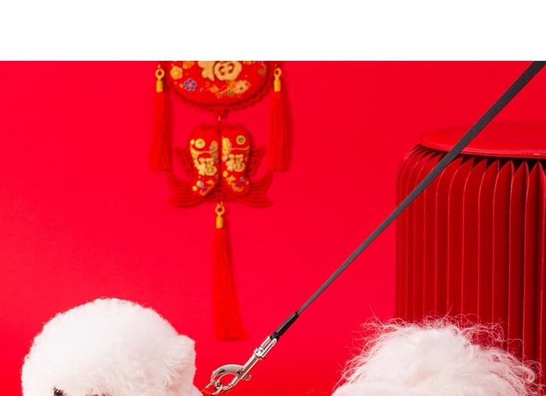 Cissilli - Fleece gevoerde huisdierentop met Chinese karakters