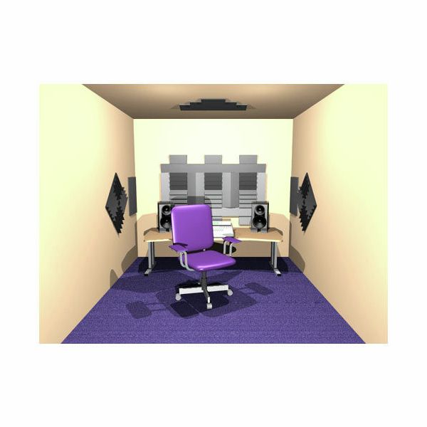 Auralex Acoustics Roominators D 36-DST Charcoal