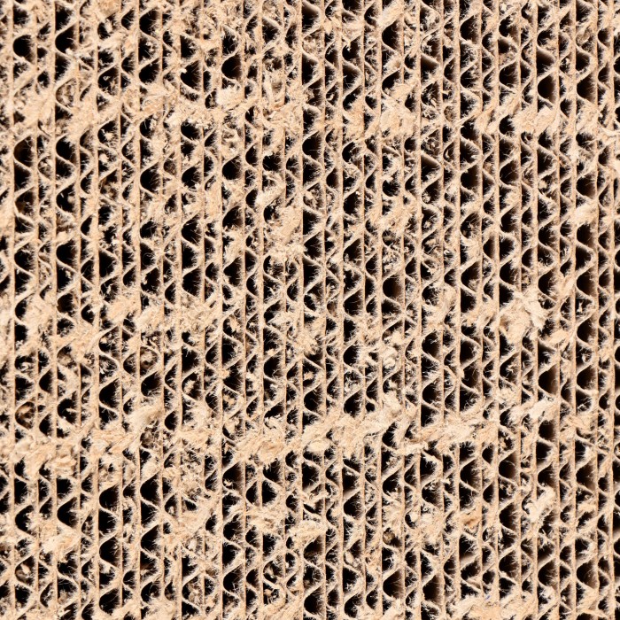 Griffoir Cardboard