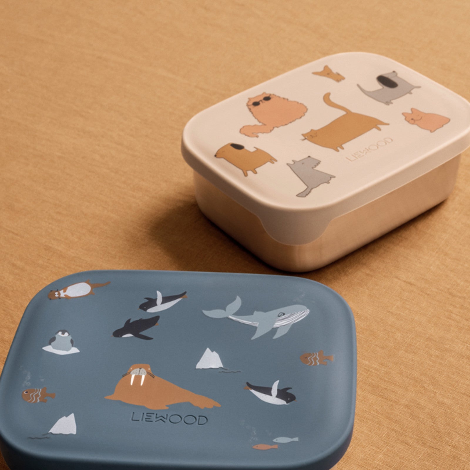 Lunchbox Arthur Printed Cats And Dogs Sandy