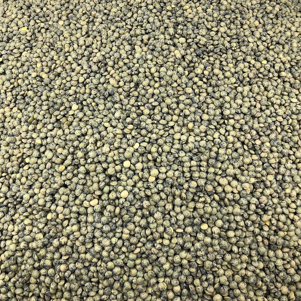 Lentille Verte Bio en Vrac 500g Vrac Bio