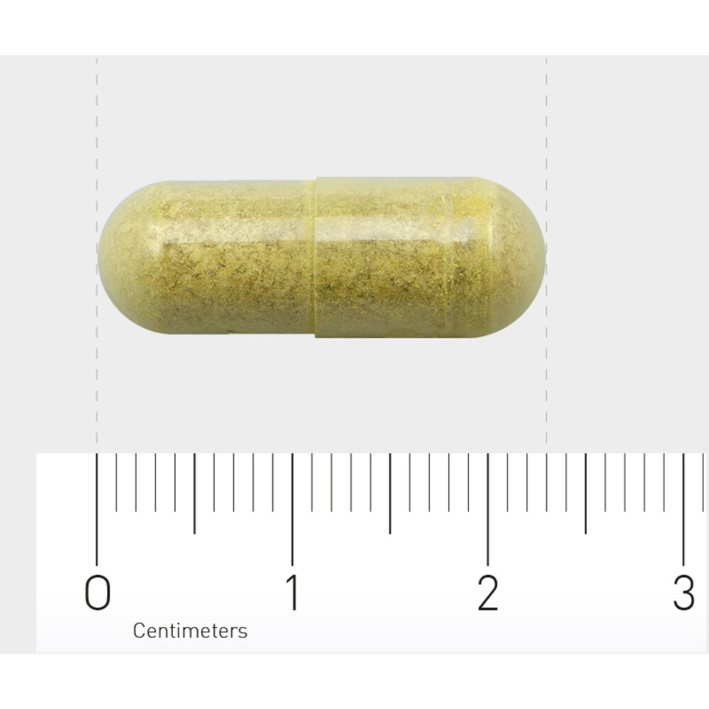 AOV 816 Quercetine-extract (500 mg)60 vegacapsules