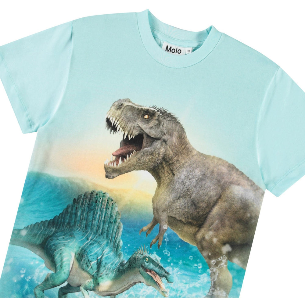 Køb Molo Dino Splash Roxo T-Shirt