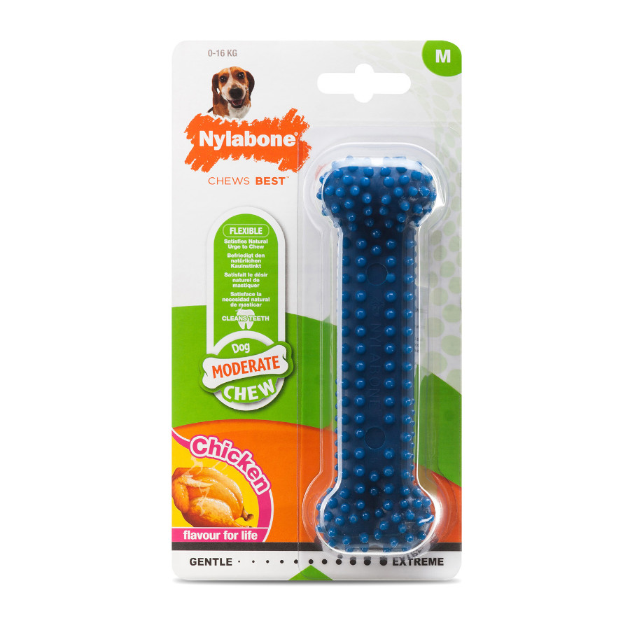 Osso mastigável dental Nylabone para cães