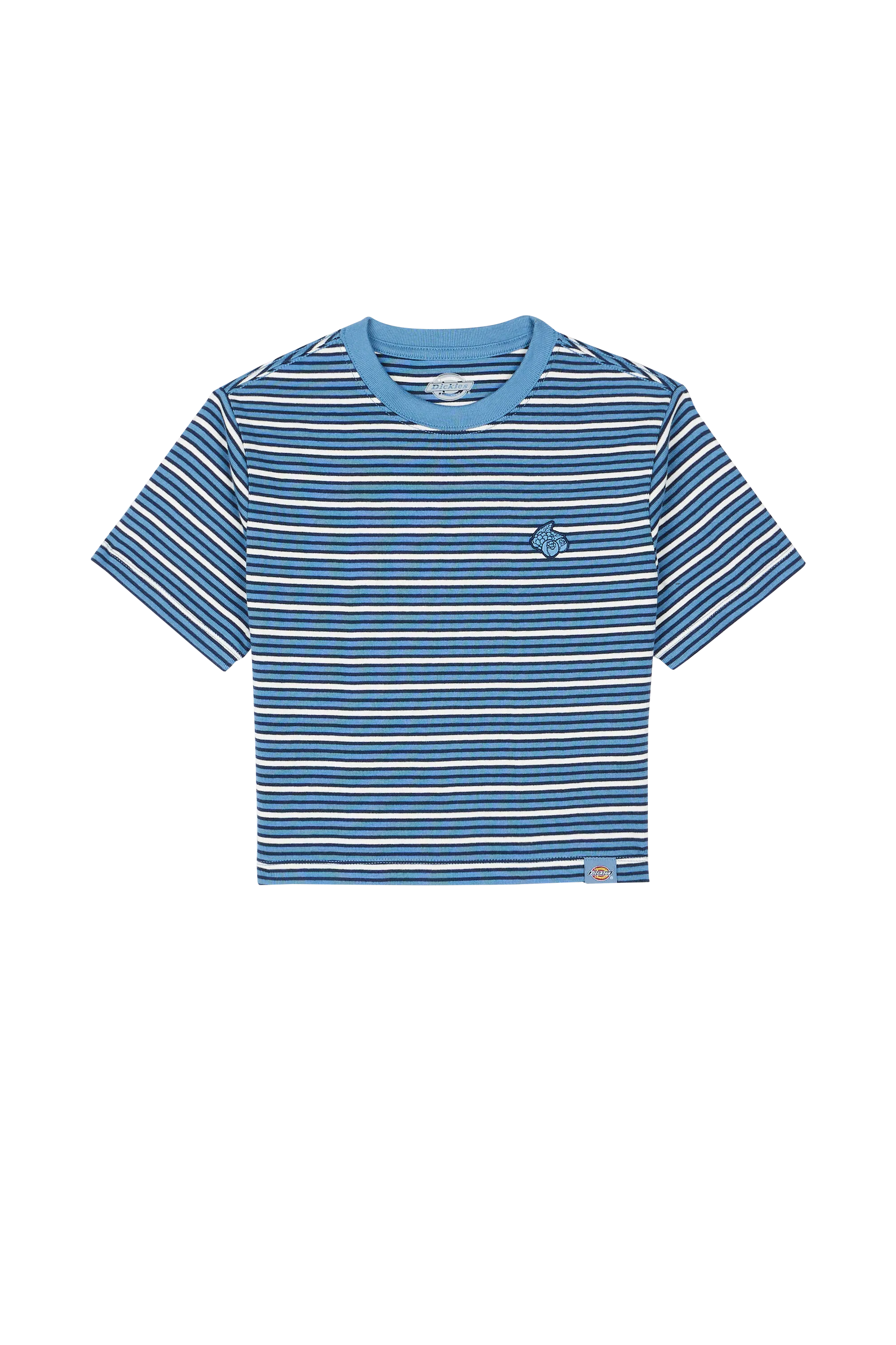 DICKIES T-shirt  ALTOONA STRIPE  Bleu