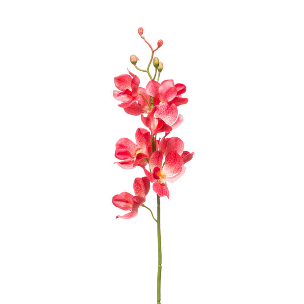 Kunstbloem Mokara - 54cm - koraal