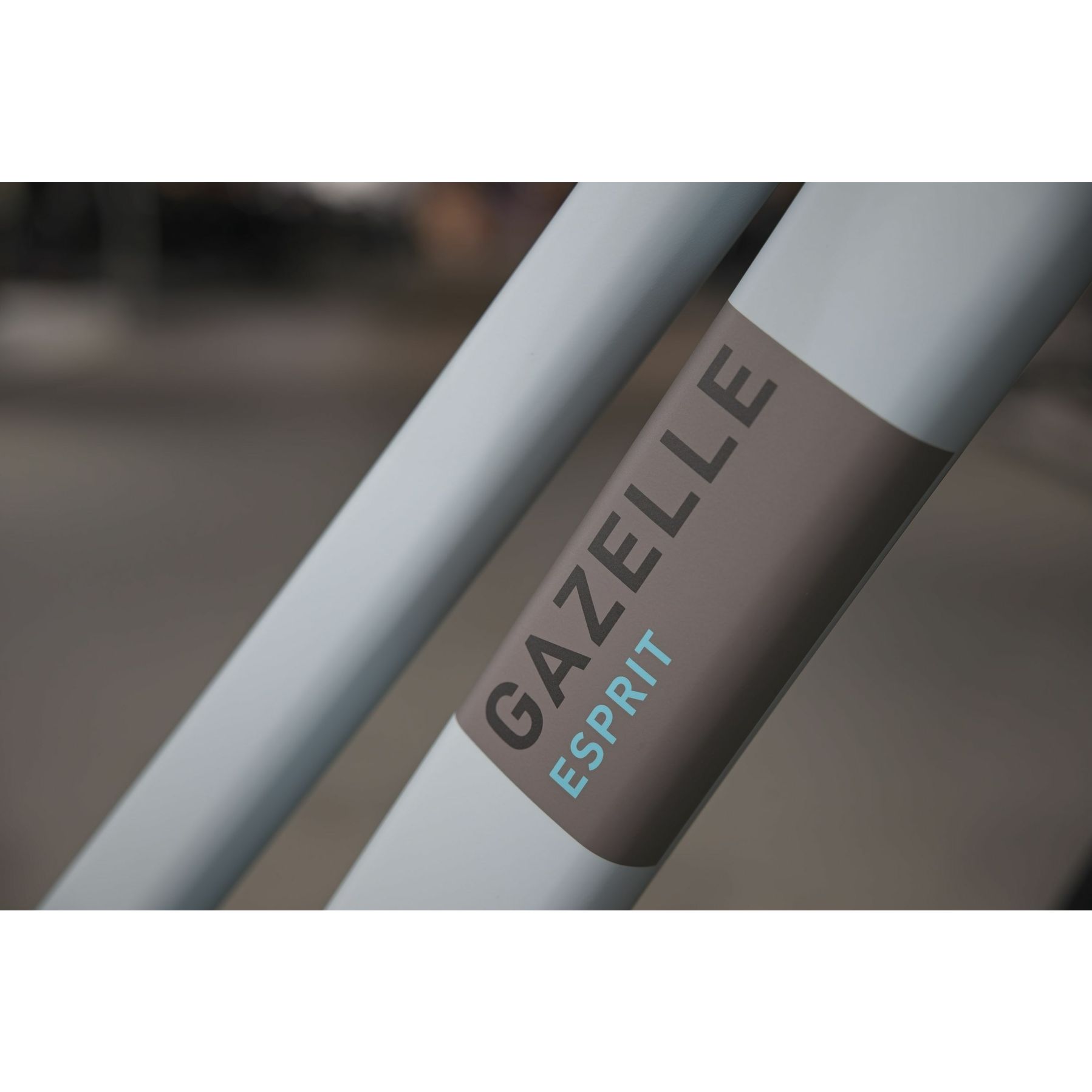 Gazelle Esprit T3 2026