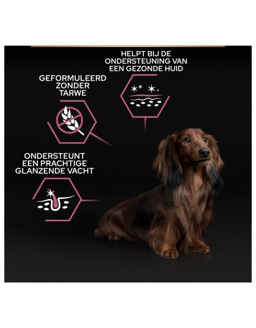 Pro Plan Dog Adult Small & Mini Breed Sensitive - Hondenvoer - Zalm 3 kg