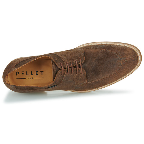 Pellet - MAGELLAN - Velours oiled noix