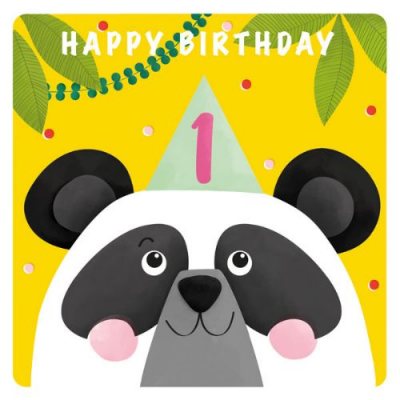 Age 1 Panda