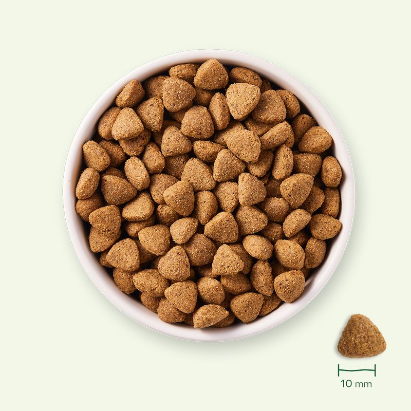Yarrah Bio Vega