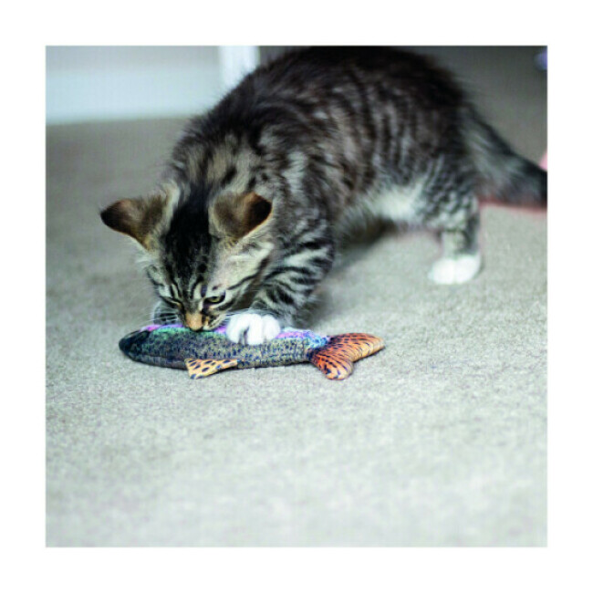 Jouet poisson Rosewood rempli d'herbe à chat