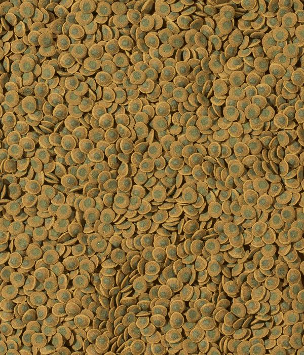 Tetra Fischfutter Pleco VeggieWafers