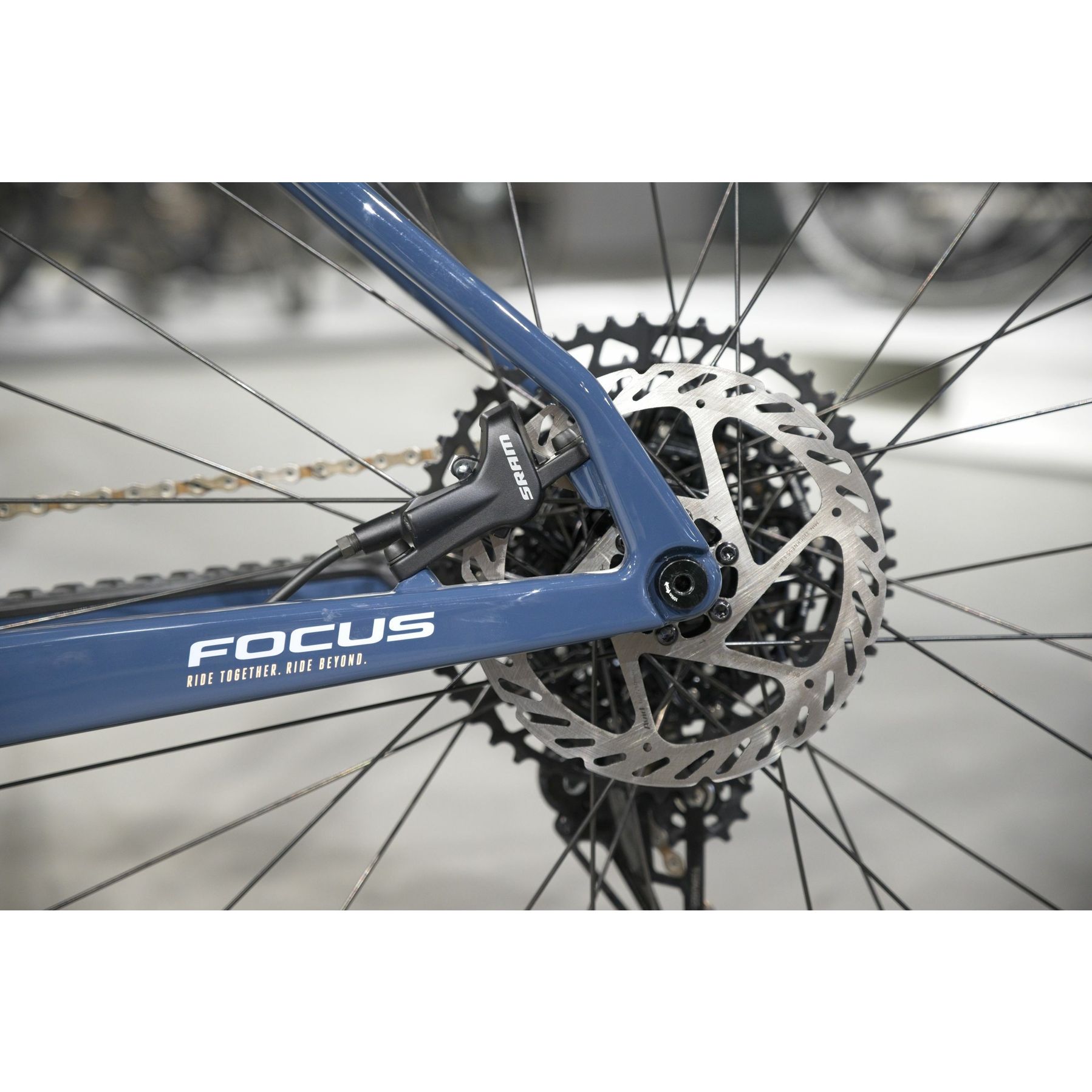 Focus Raven 8.7 2025