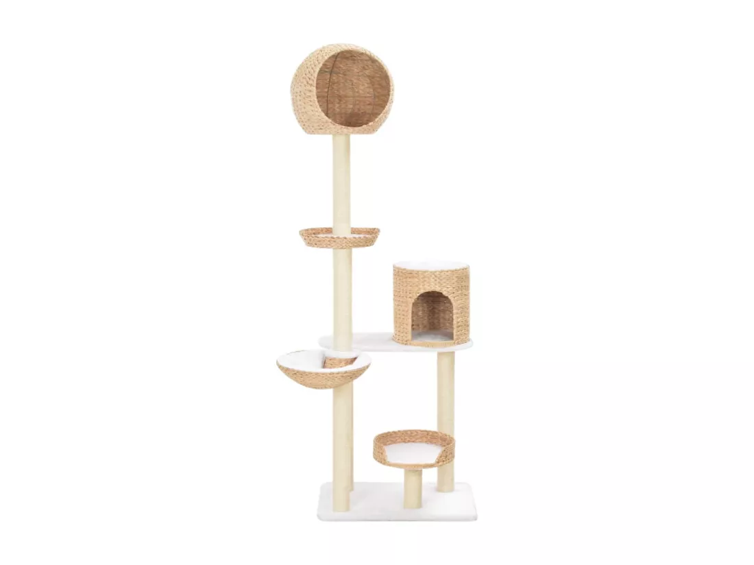Arbre à chat avec griffoirs en sisal Herbiers marins