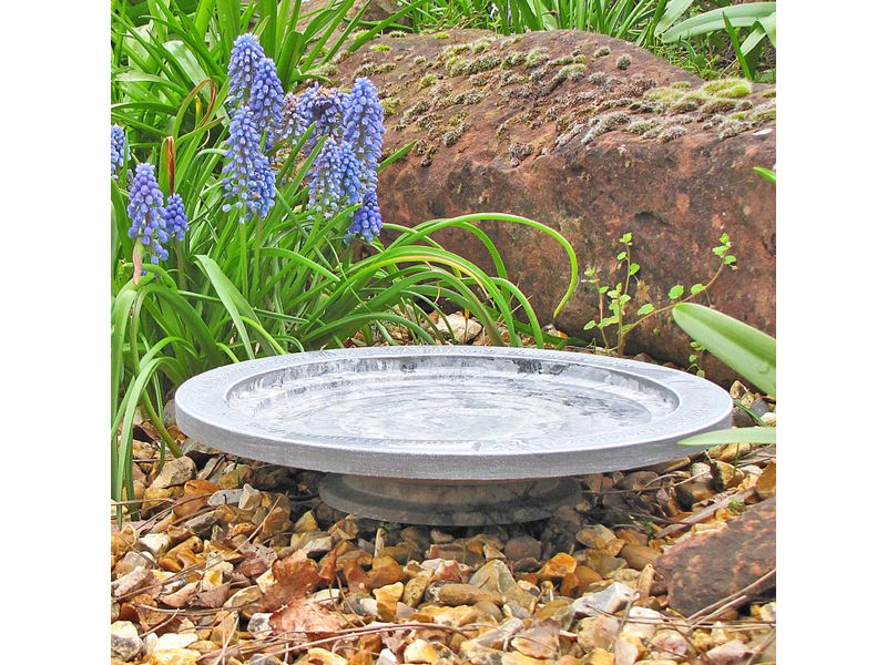 Wildlife World Vogeltränke Oasis 30 x 30 x 5.5 cm Wasserstelle für Wildtiere