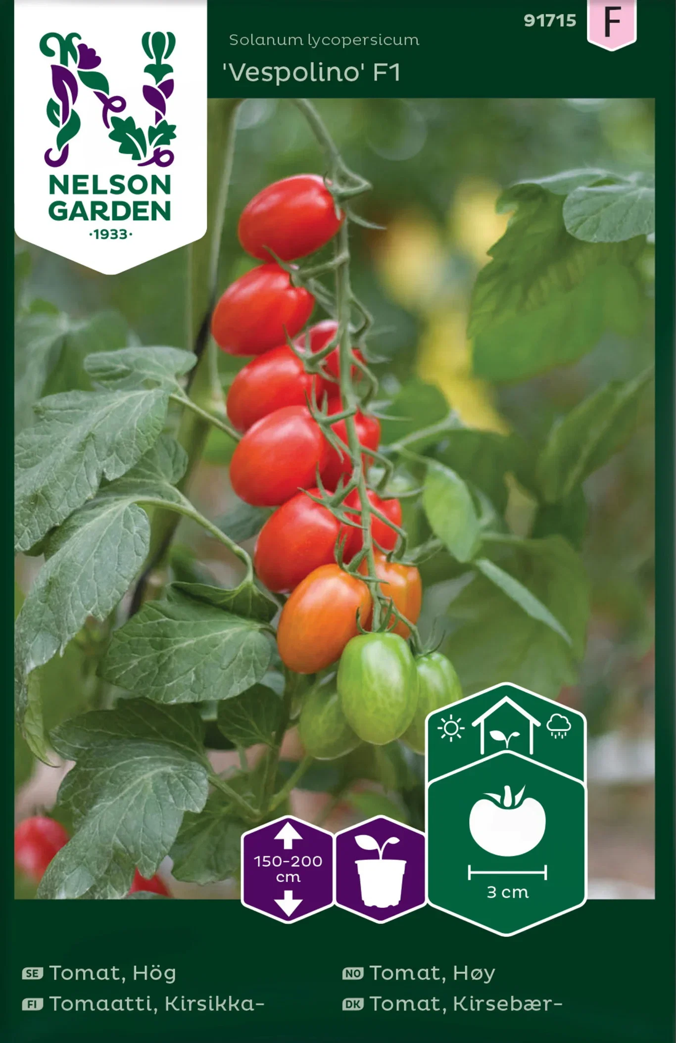 Solanum lycopersicum 'Vespolino' Tomat 'Vespolino' F1