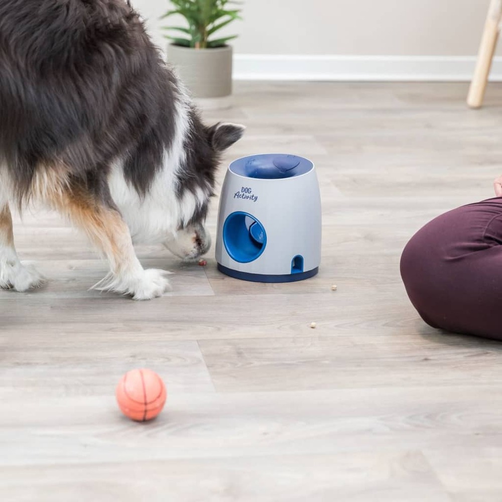 Balle d'activité chien 2-en-1 et jeu de stratégie de friandises