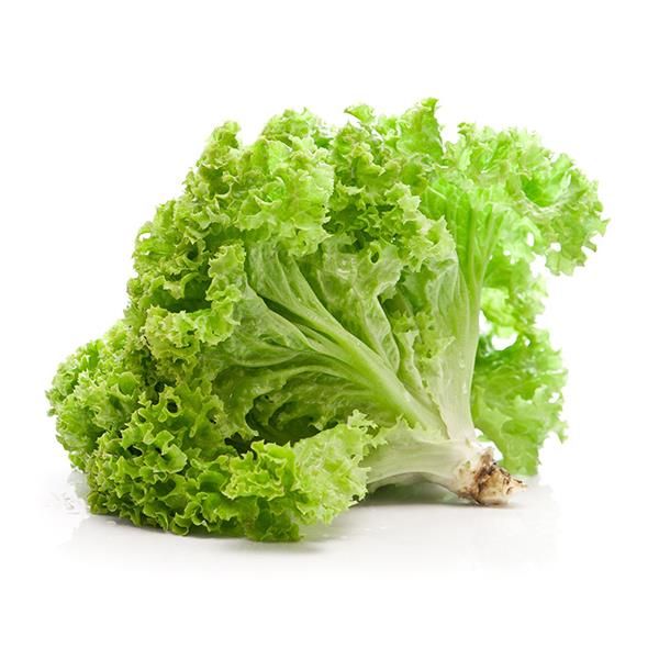 Alface Bio - Kg
