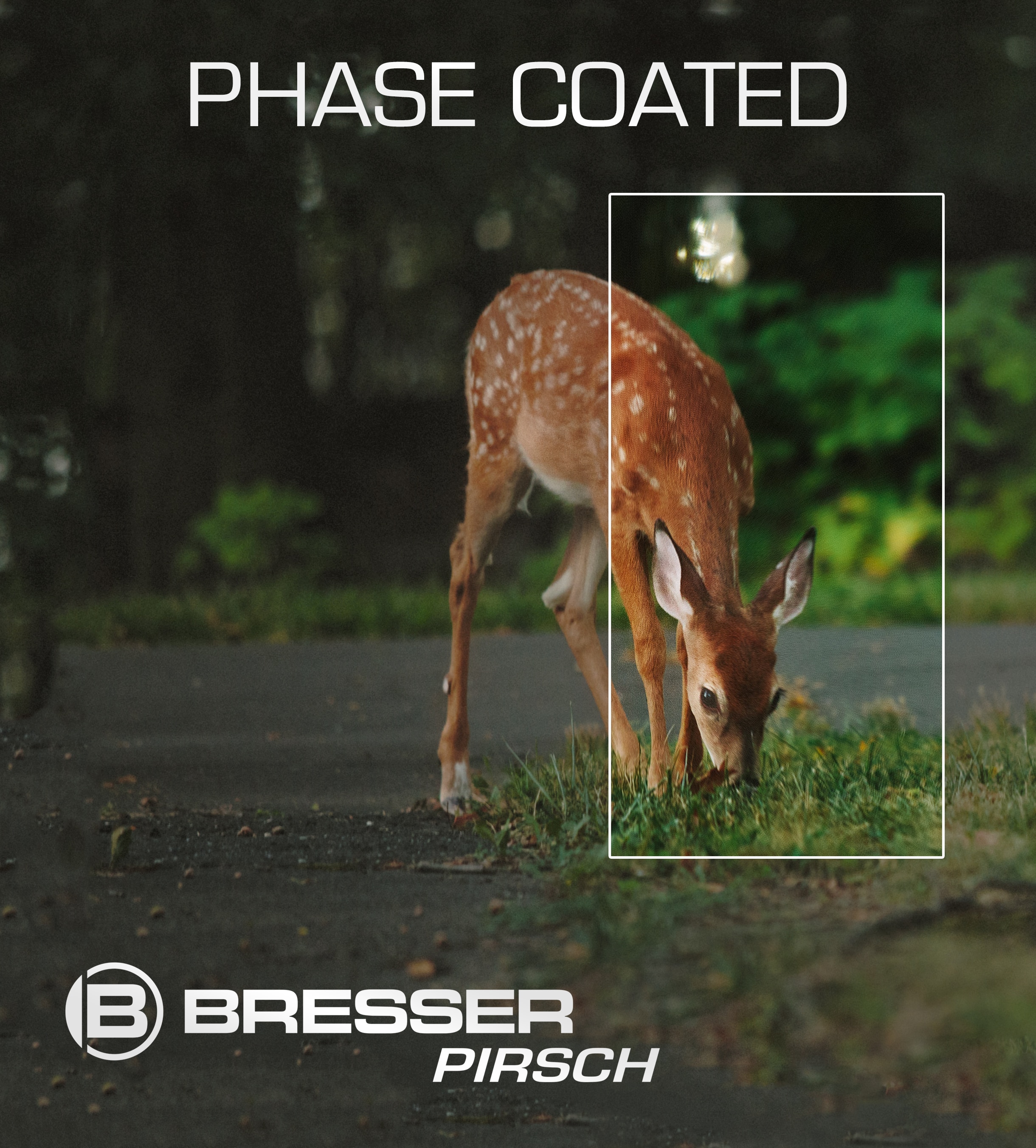 BRESSER Pirsch 10x26 Fernglas mit Phasenvergütung