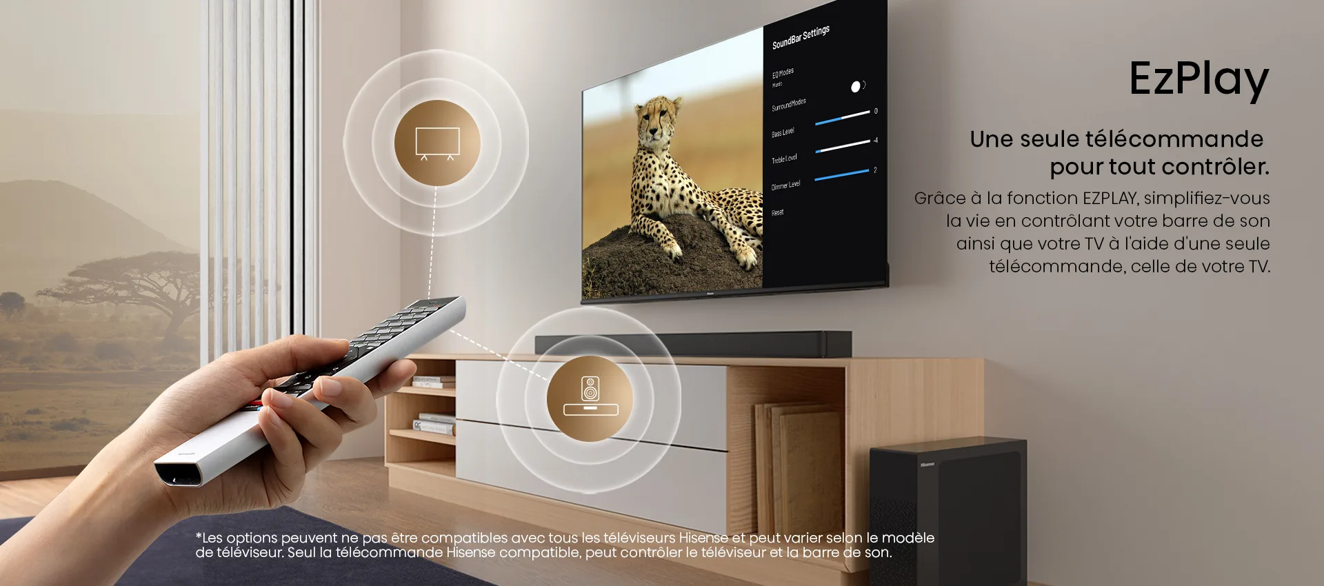 Hisense HS2100 Barres de son