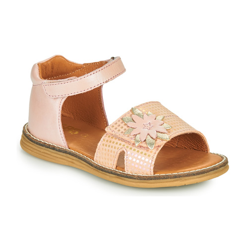 GBB - SATIA - Rose