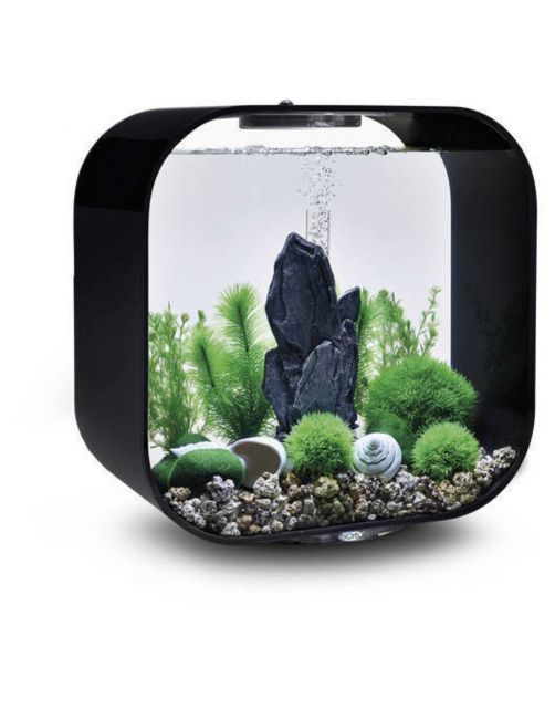 Biorb Easy Decor Kit - Aquarium - Ornament - 30 l Groen