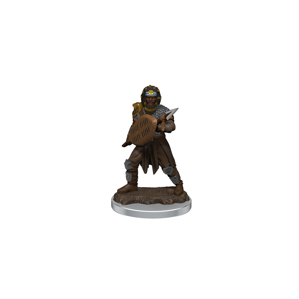 D&D Icons of the Realms Premium Figures - Male Human Fighter