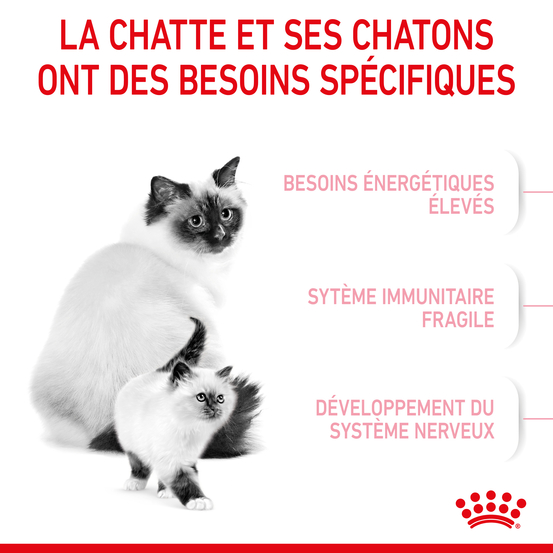 Croquettes chaton de 0 à 4 mois et chatte Mother&Babycat 400g