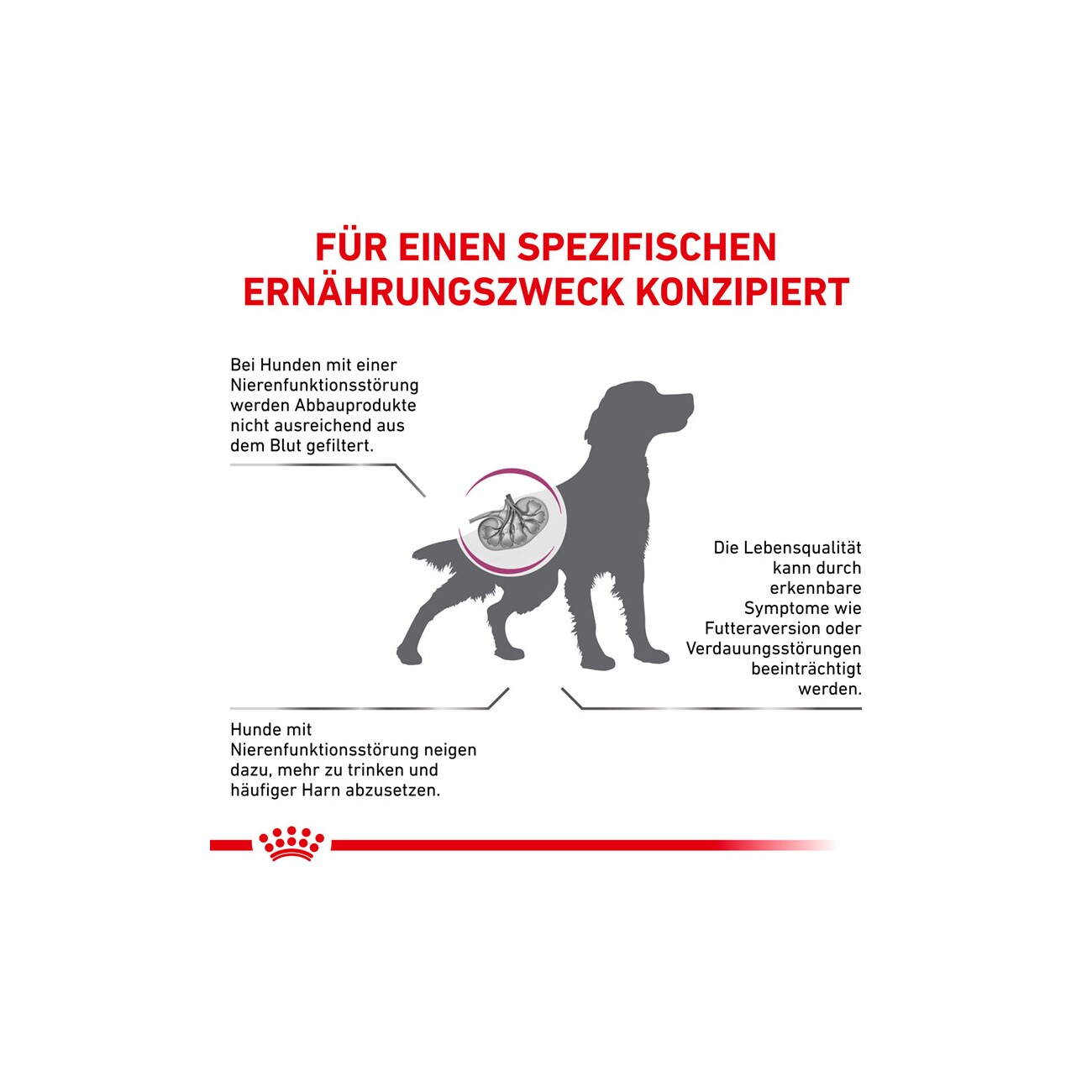 ROYAL CANIN Veterinary RENAL 2 kg