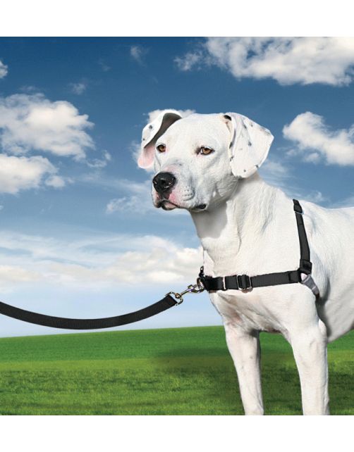 Petsafe Easy Walk Anti-Trektuig Zwart - Hondenopvoeding