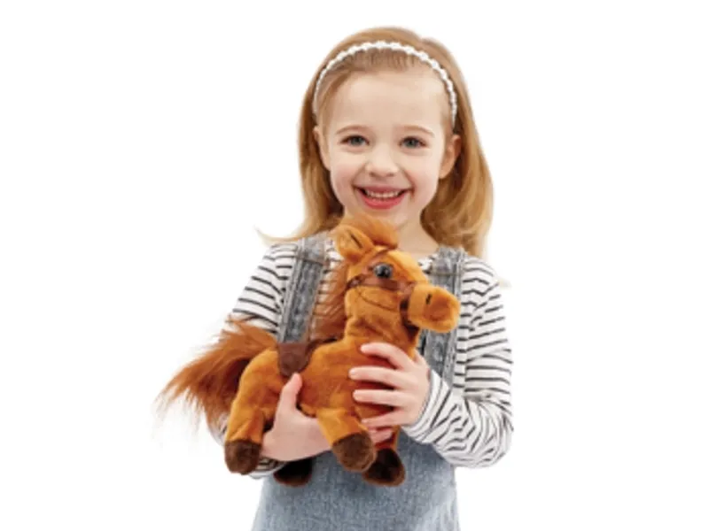 Happy Pets Walk Along Pony