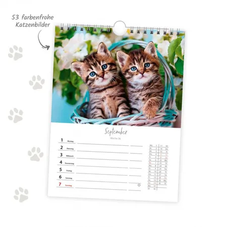 Trötsch Wochenkalender 