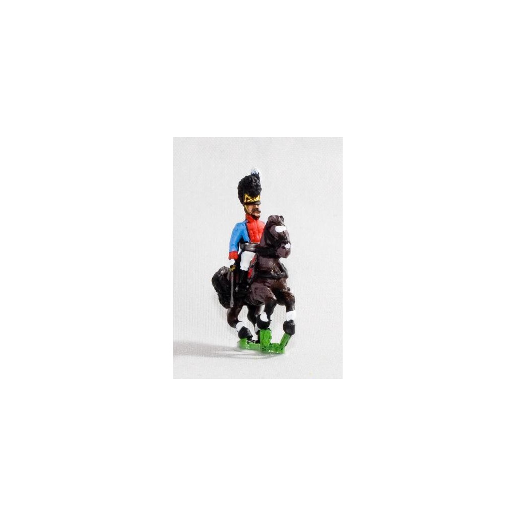 Bavarian 1805-14: Command: Mounted Infantry Officer