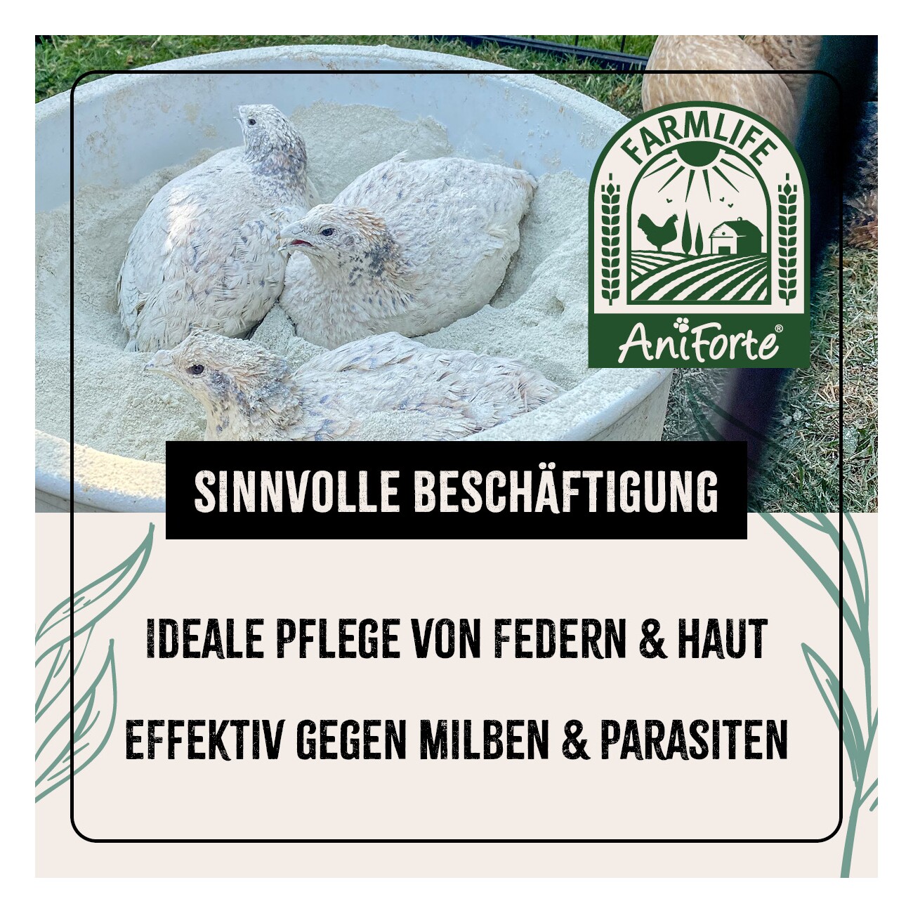 AniForte Staubbad für Hühner 10kg