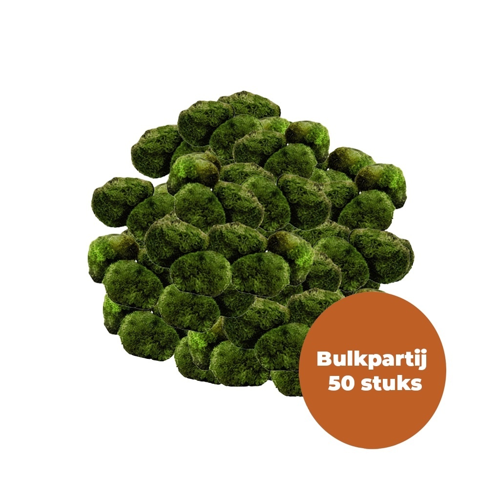 Waterplant Mosbol Chladoflora SS 2cm Bulkpartij 50 stuks