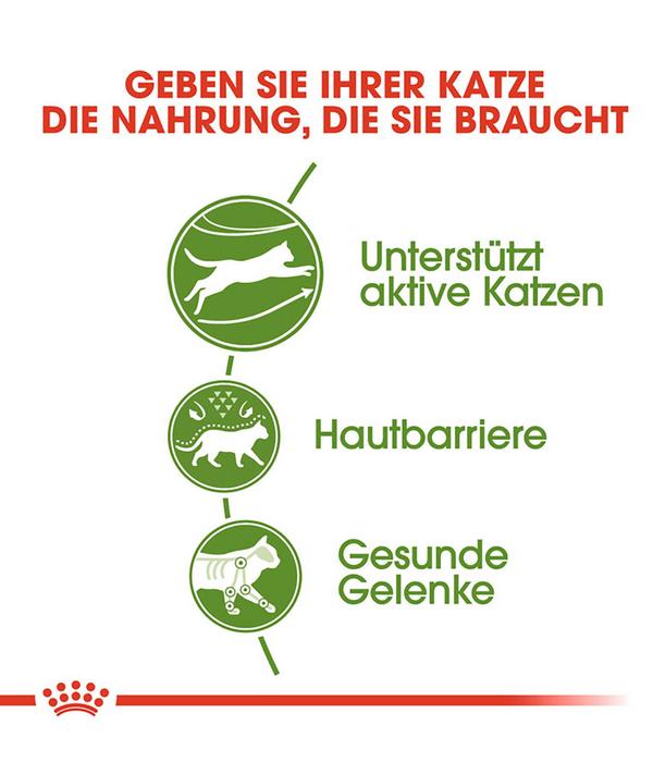 ROYAL CANIN® Trockenfutter für Katzen