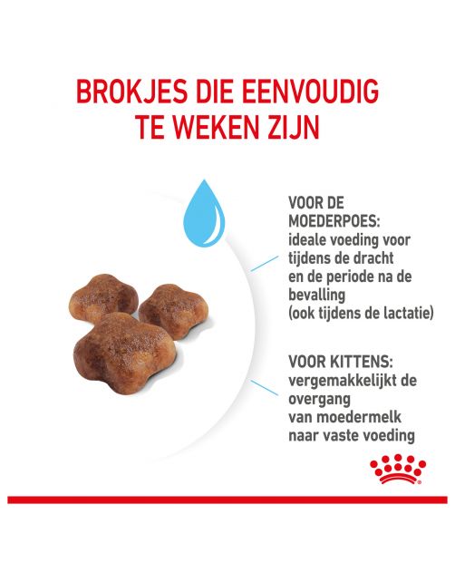 Royal Canin Mother & Babycat - Kitten-Kattenvoer