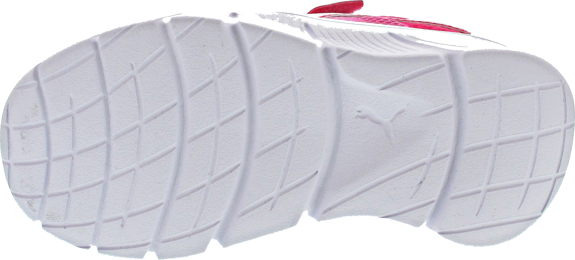 Puma FlexFocus Modern AC  PS Sneaker rosa