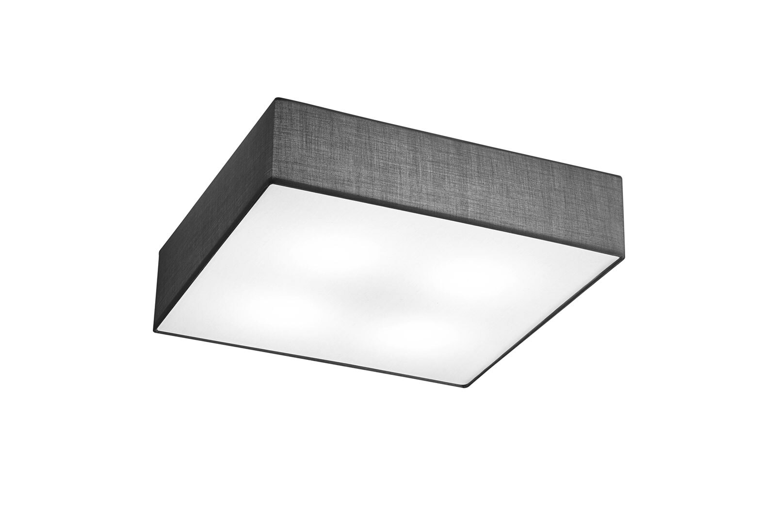 TRIO Retrofit Deckenlampe X-EMBASSY