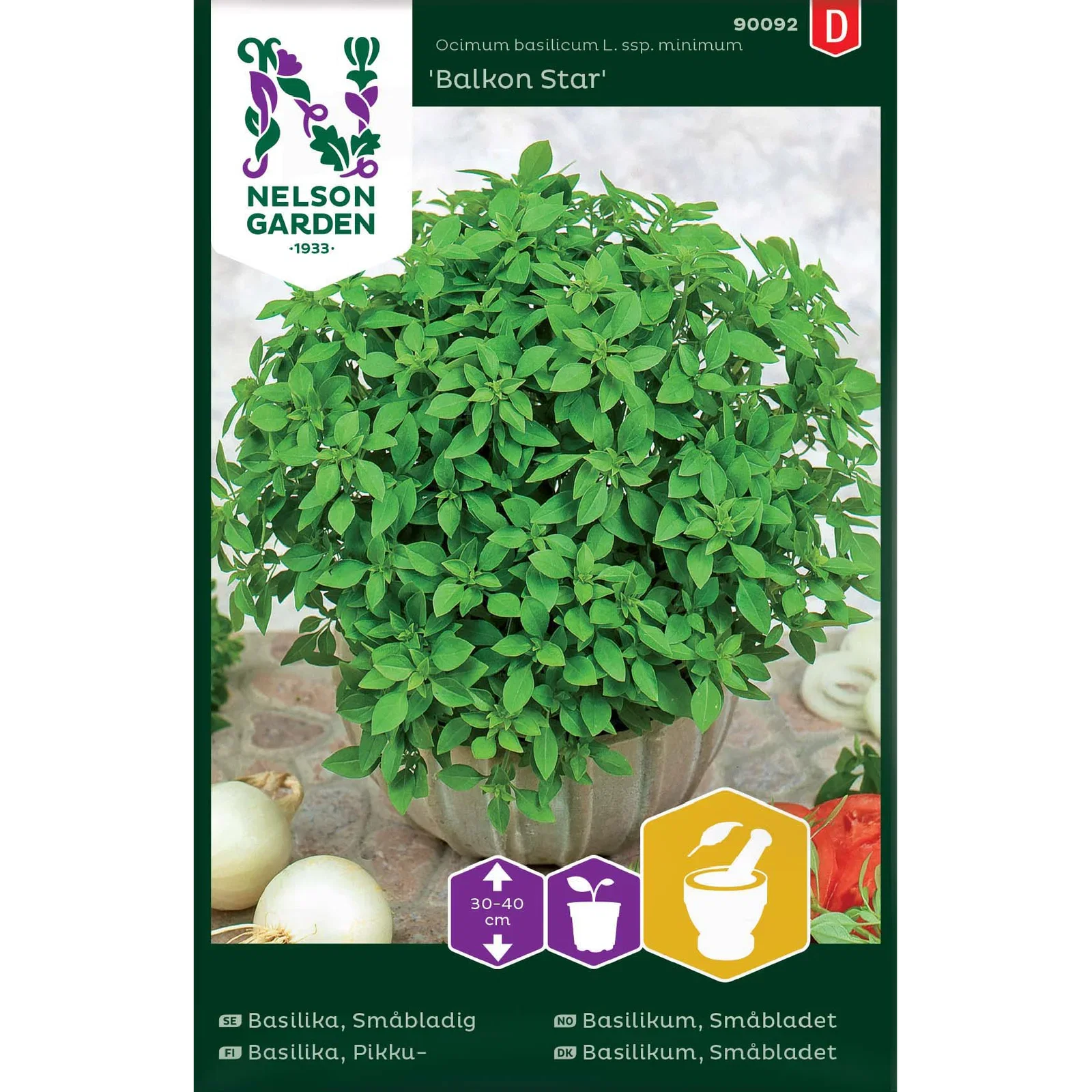 Ocimum basilicum var.purpurascens 'Balkon Star' Småbladet basilikum 'Balkon Star'