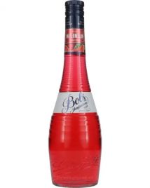 Bols Watermeloen groot